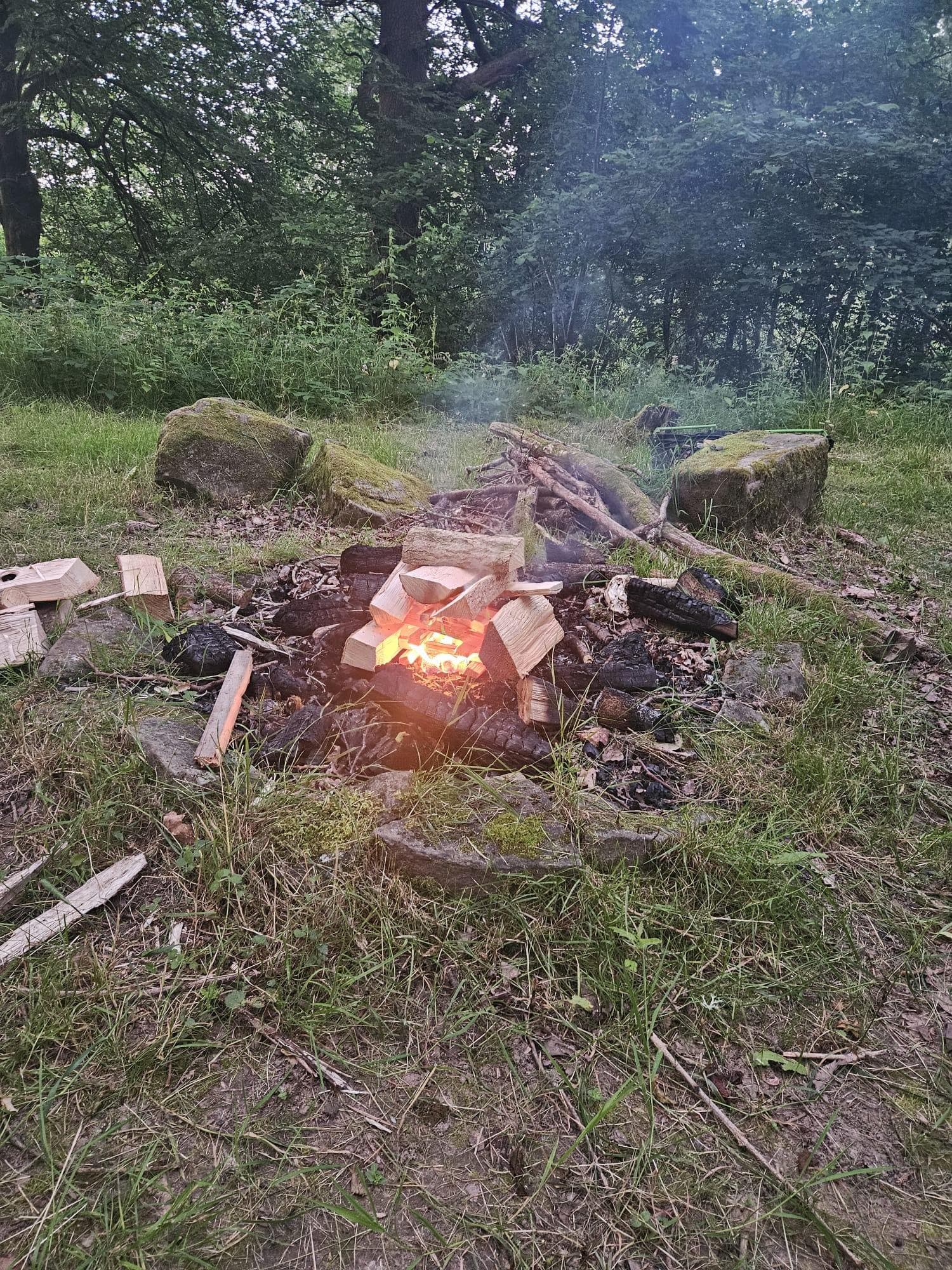 A campfire ringed by mossy stones in woodland