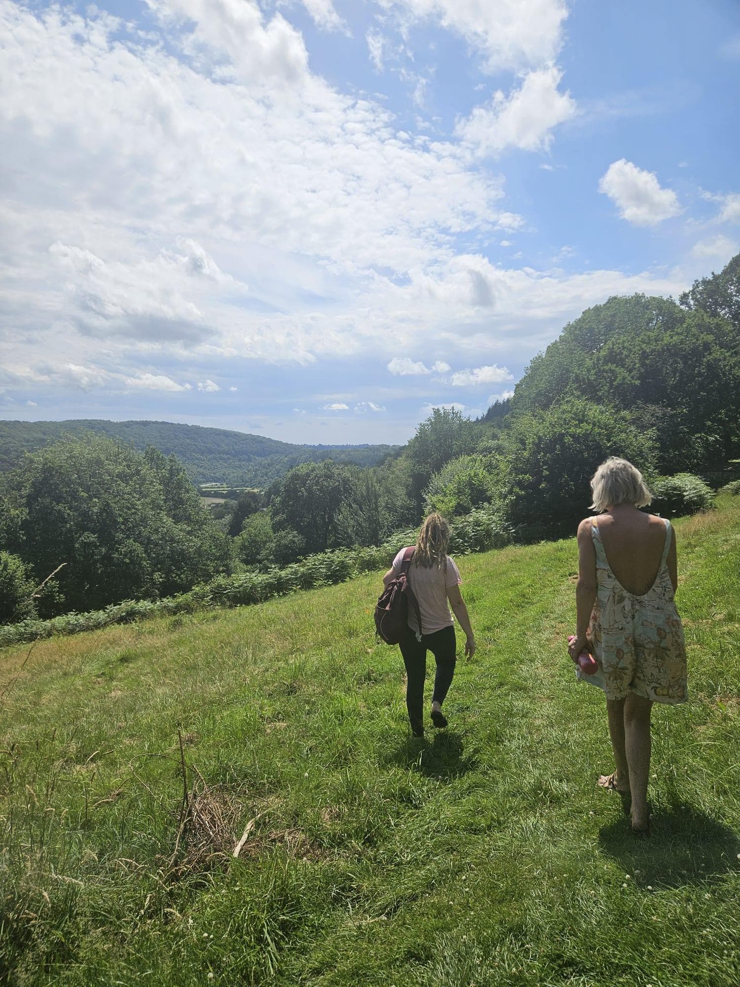 A sunlit woodland moment in the Wye Valley