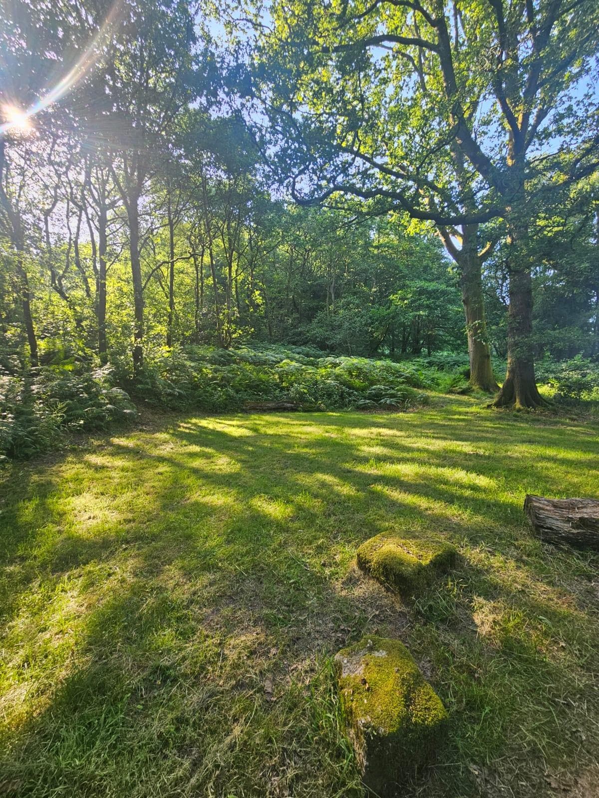 A still, leafy corner of the Wye Valley