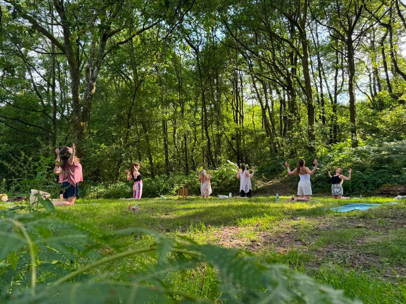 Women with arms raised together in a sunlit forest